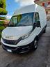 iveco-daily