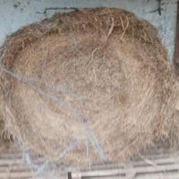 Balle di fieno 2 taglio