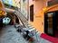 Immagine 4