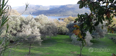 Terreno agricolo