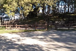 AFF. CON RISCATTO. Terreno con casa a messina