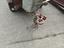 Immagine 2