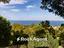 Immagine 10