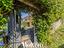 Immagine 25