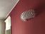 Immagine 12