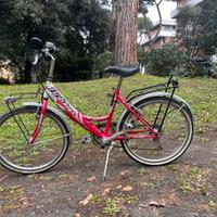 Bicicletta da citta-tutto funzionante!
