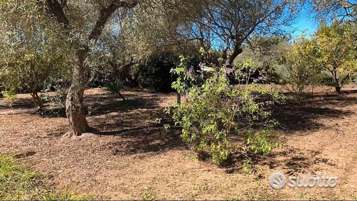 Terreno edif. Sa Rodia prol. Via Cairoli - Vista 2