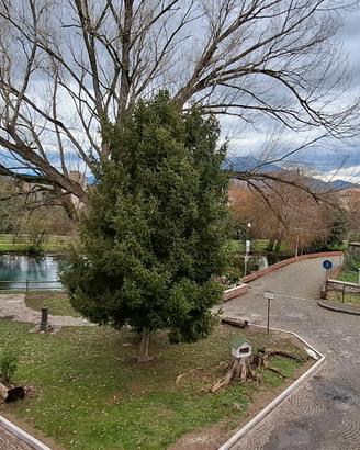 Fronte Lago Indipendente c.posto auto