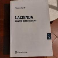 L'azienda centro di produzione, Economia aziendale