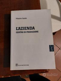 L'azienda centro di produzione, Economia aziendale