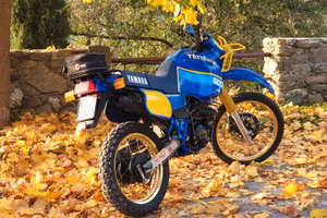 Yamaha 600 Teneré - Targa Oro FMI