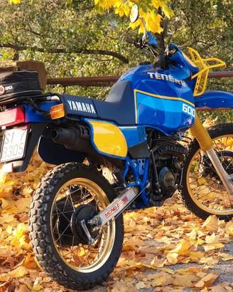 Yamaha 600 Teneré - Targa Oro FMI