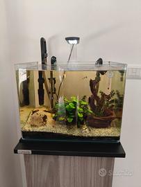 Acquario AMTRA 30 litri