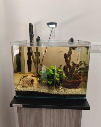 Acquario AMTRA 30 litri