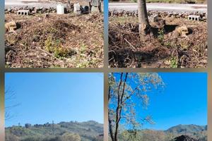 Vendita terreno con 2 annessi immobili per relax