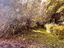 Immagine 22