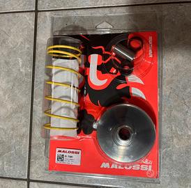 Variatore multivar 2000