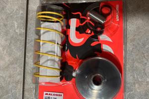 Variatore multivar 2000