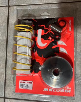 Variatore multivar 2000