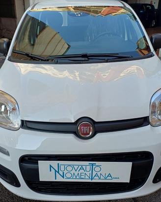 FIAT Panda Pandina 1.0 FireFly S&S Hybrid Pop Ve