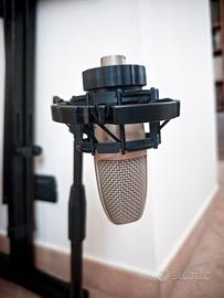 Microfono a condensatore Akg C3000B + asta