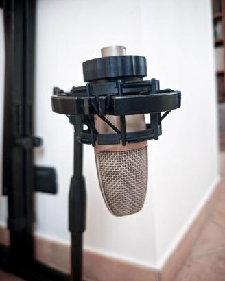 Microfono a condensatore Akg C3000B + asta