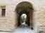 Immagine 22