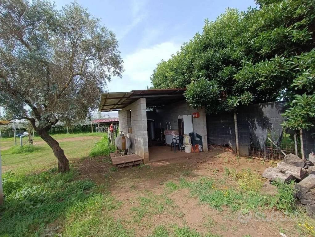 Immobile in asta di 4805 m² a Feroleto della Chies - Altro