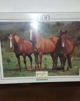 Puzzle con cavalli 