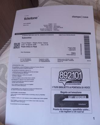 Biglietto per vedere i sub sonica a cabras