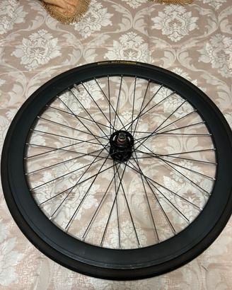 Ruote bici