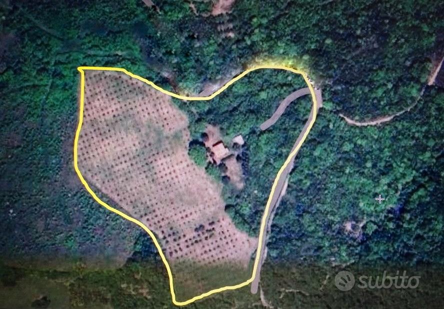 Rustico in pietra con 19 ha di terreno Laiatico - Altro