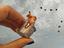 Immagine 5