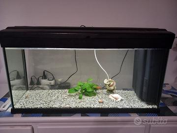 Acquario 100 litri