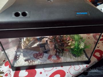 aquario completo 10 ltr