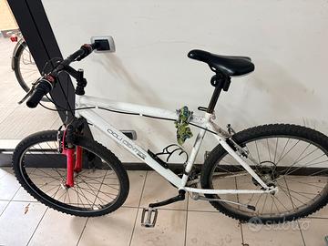 MTB BICICLETTA