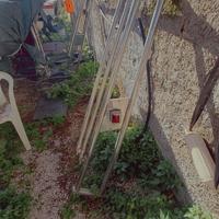 rollbar acciaio 