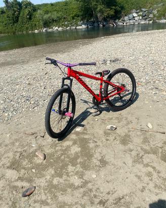 mtb Willie 