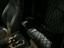 Immagine 22