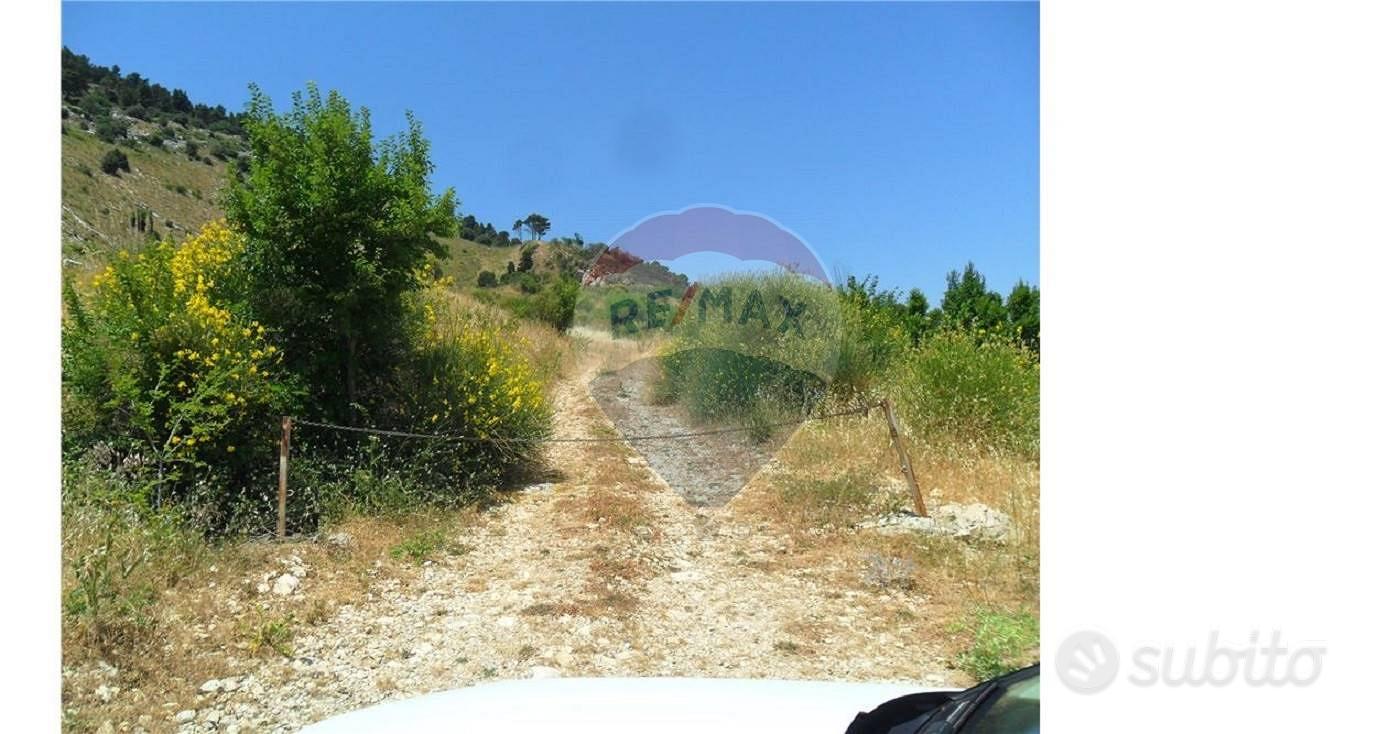 Terreno - San Giovanni Gemini - Vista 4