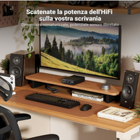 Mini Amplificatore Audio Stereo HiFi TPA3116