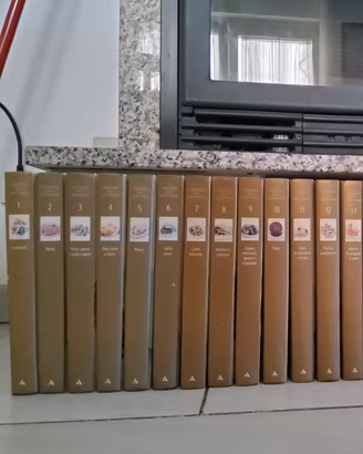 Enciclopedia della cucina italiana (prima parte)