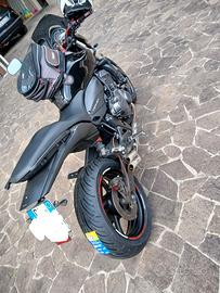 Honda Hornet