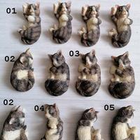 Gattino soprammobile