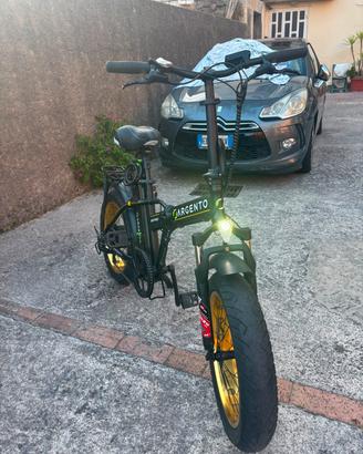 Bici elettrica argento minimax-s