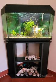 Acquario angolare