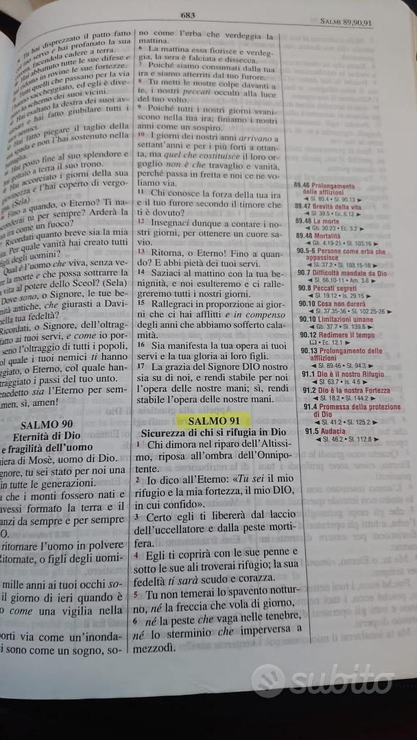 Bibbia da Studio La nuova Thompson - Libri e Riviste In vendita a Pisa