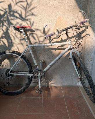 Mountain bike MTB cambio Shimano 26"