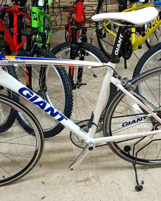 Giant Defy Team Rabobank alluminio Taglia M V