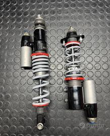 Sospensioni Zip Sp polini paioli